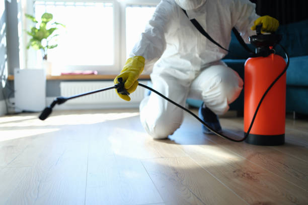 Reliable Odor Removal contractor in Bonney Lake, WA by Trauma Clean Pros